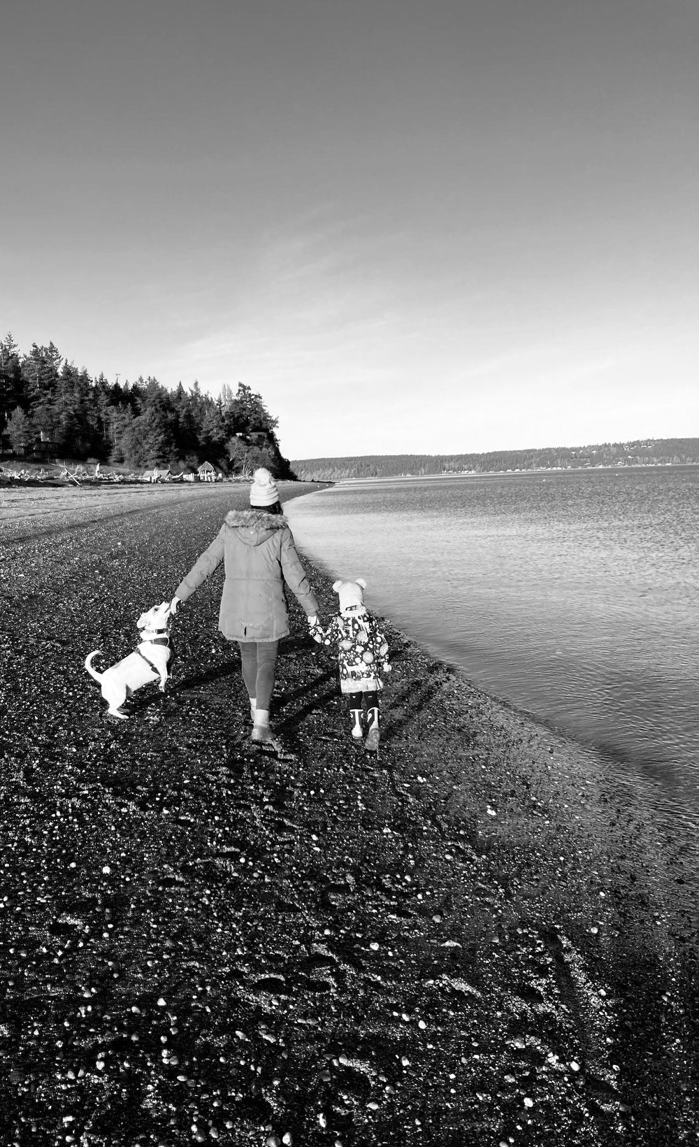 Let’s Give Back to All the Mothers & Mother Earth