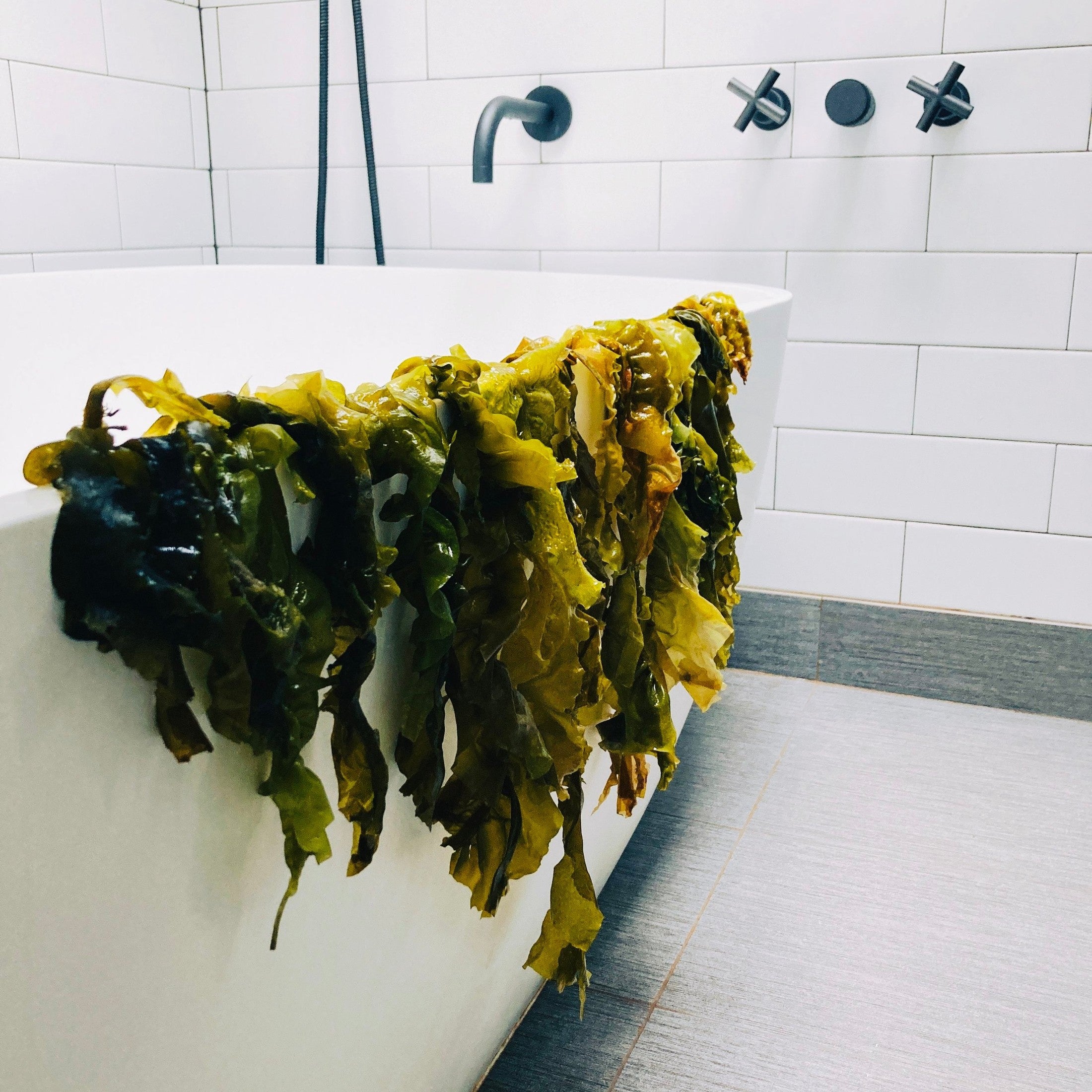 Wet seaweed draped over a tub in a minimalist luxury bathroom.