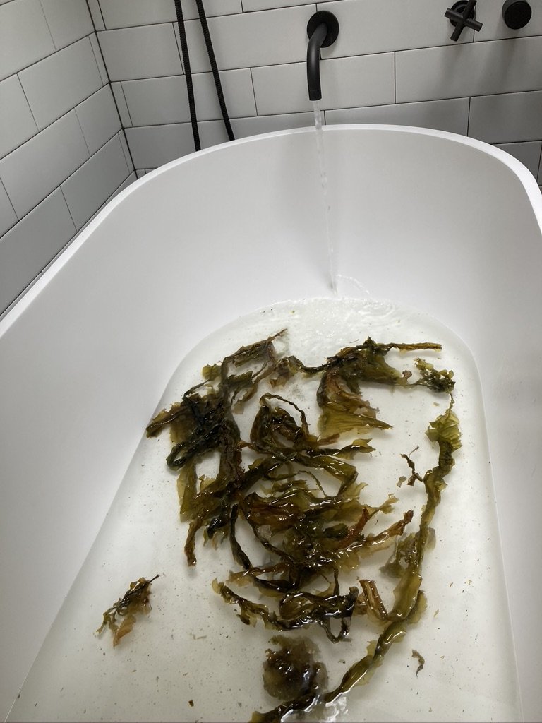 Healing Deep Sea Soak bathtub with water and seaweed.