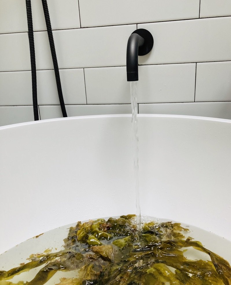 White luxury bathtub being filled with water and seaweed.