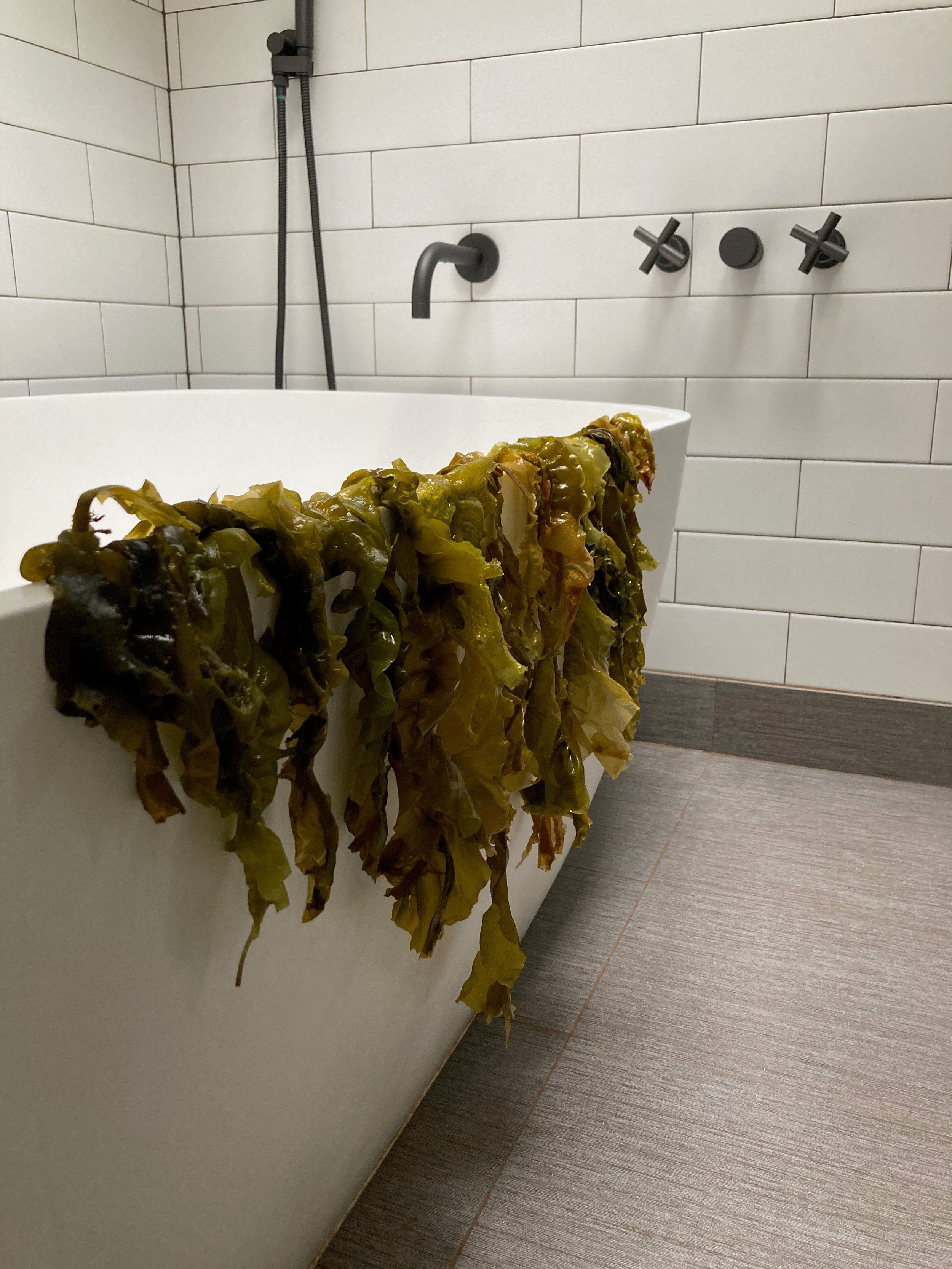 Contemporary white tile bathroom with seaweed draped over tub.