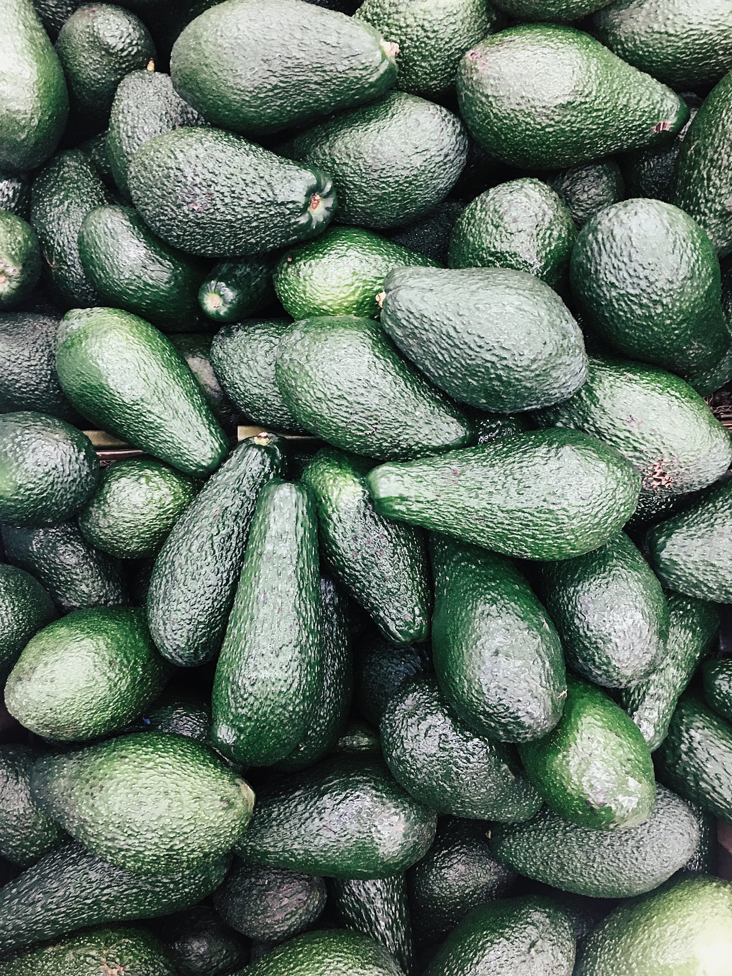 Richly colored green avocados