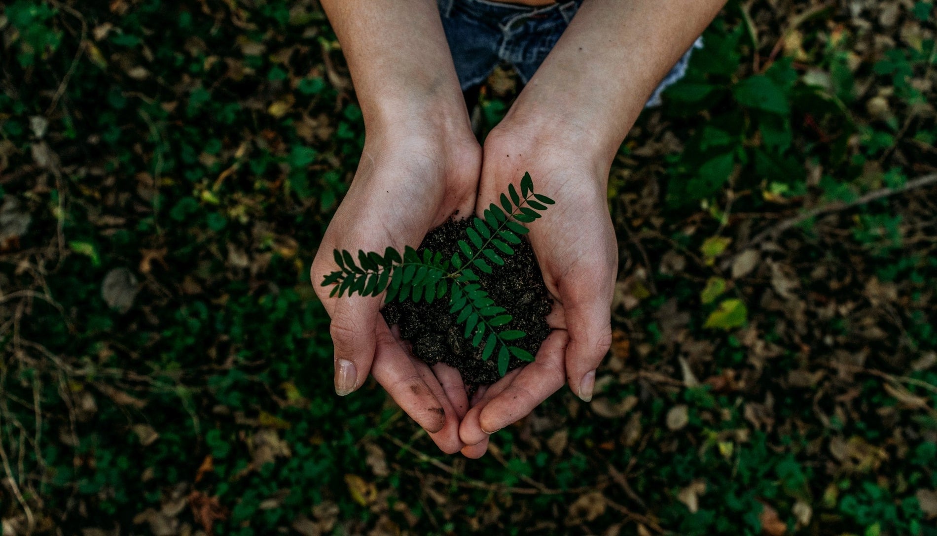 Top 5 Ways We Celebrate The Earth Every Day at SeaSoaked Skin