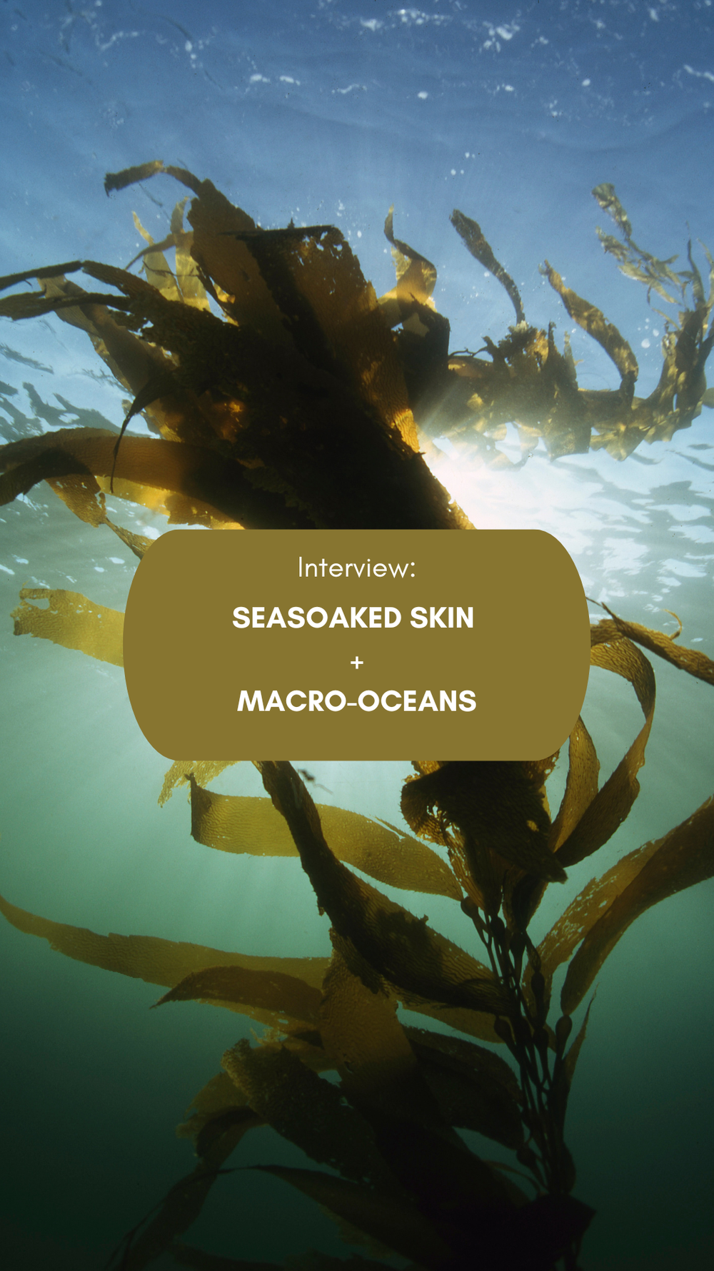 Interview: SeaSoaked Skin + Macro-Oceans