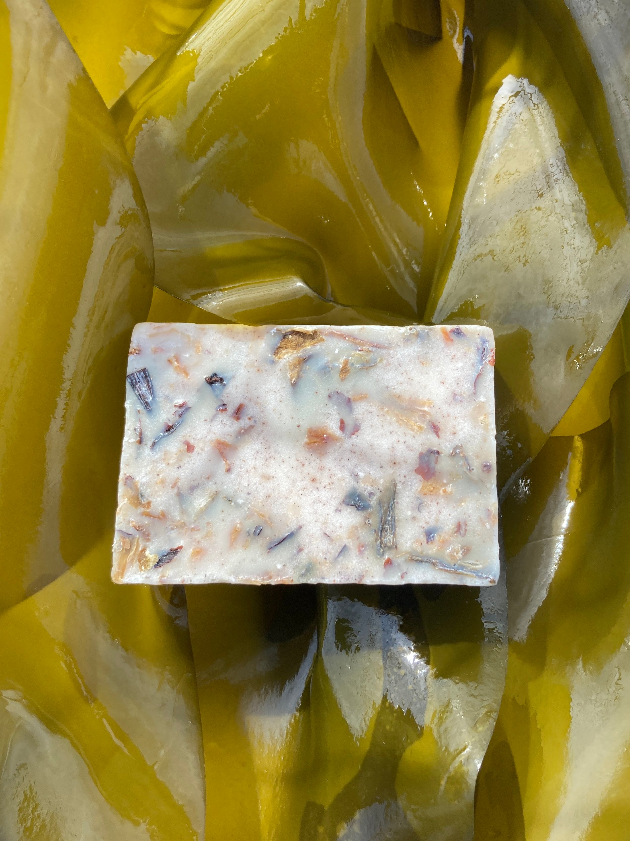 Kelp and Oatmeal Body Bar on seaweed.